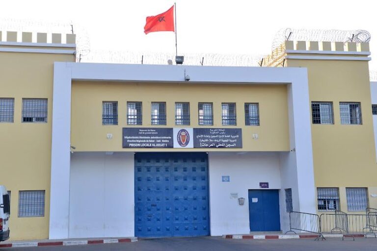 صورة المقالة