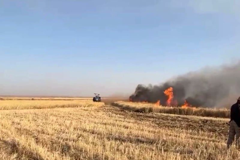 صورة المقالة