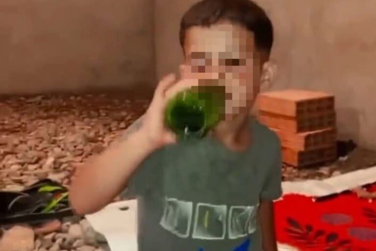 صورة المقالة
