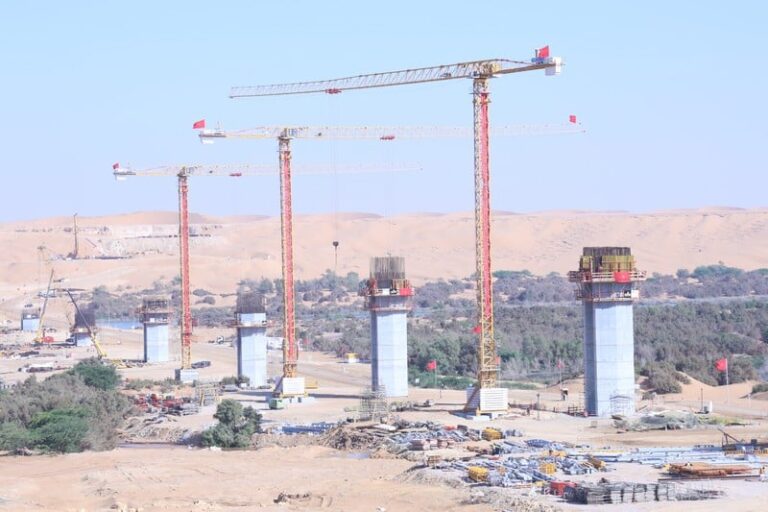 صورة المقالة