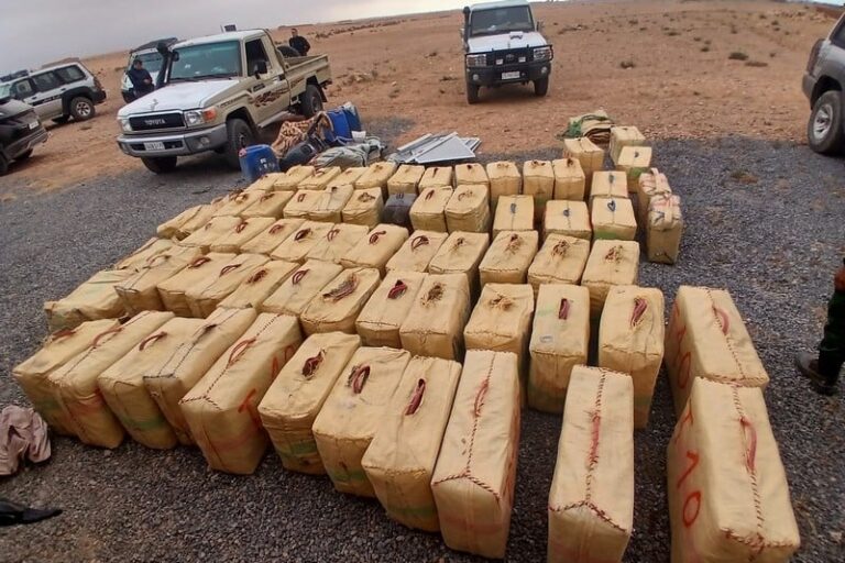 صورة المقالة