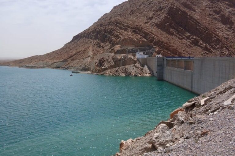 صورة المقالة