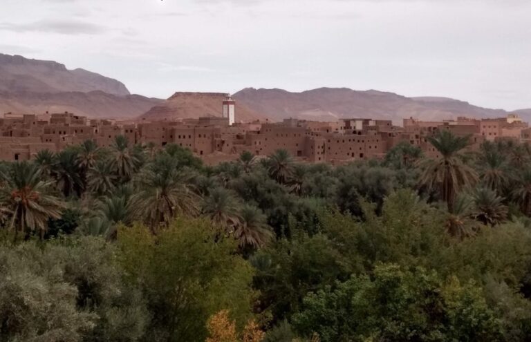 صورة المقالة