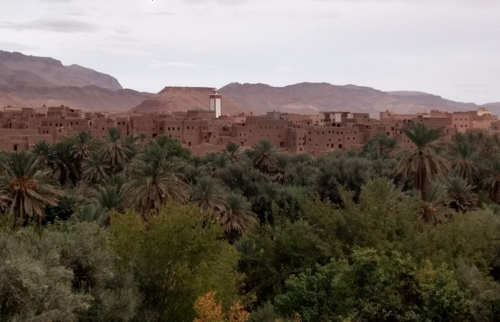صورة المقالة