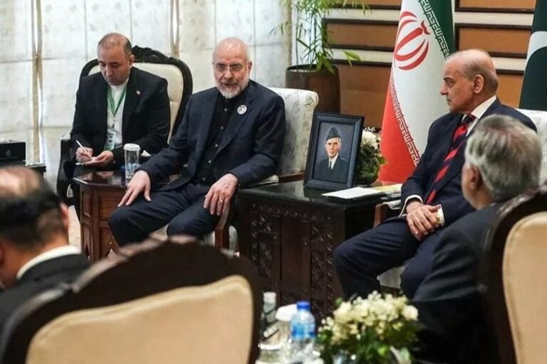 صورة المقالة