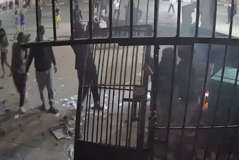 صورة المقالة