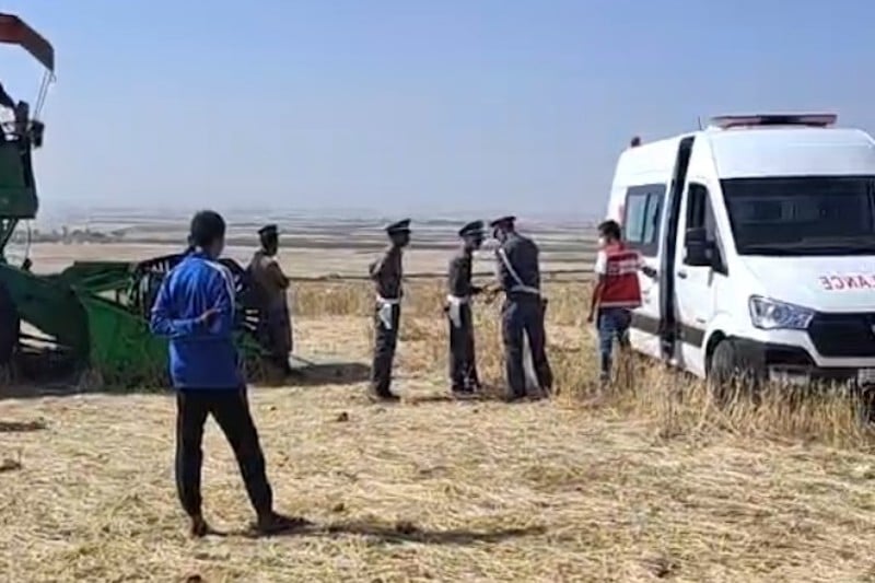 صورة المقالة
