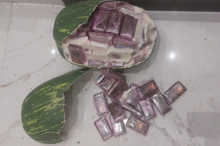 صورة المقالة