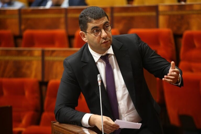 صورة المقالة