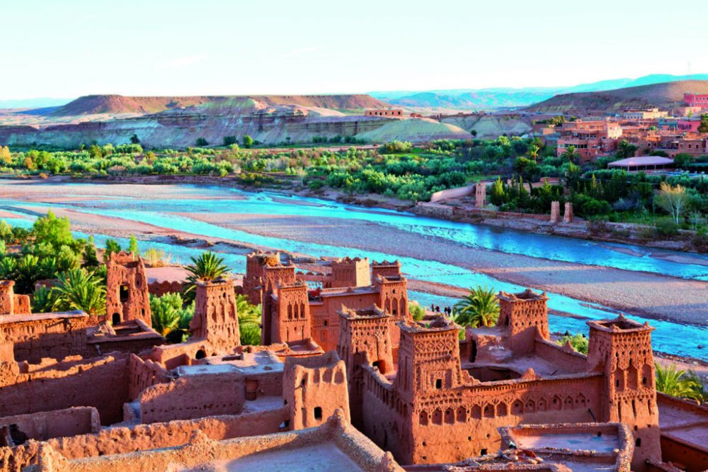 صورة المقالة