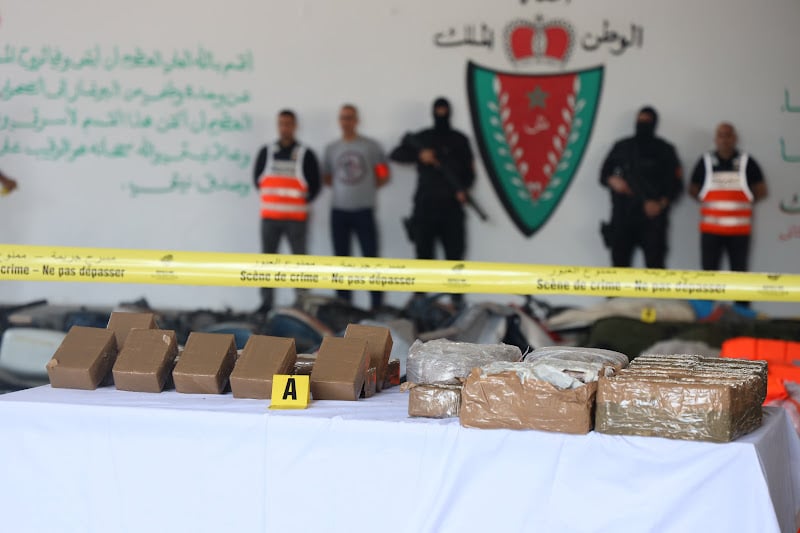 صورة المقالة