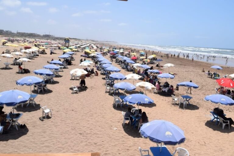 صورة المقالة
