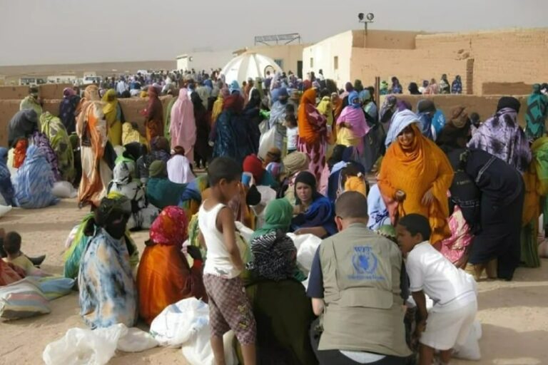صورة المقالة