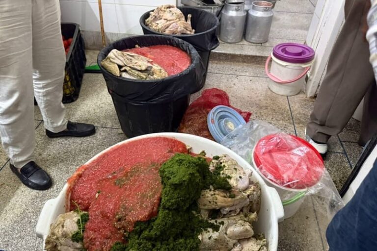 صورة المقالة