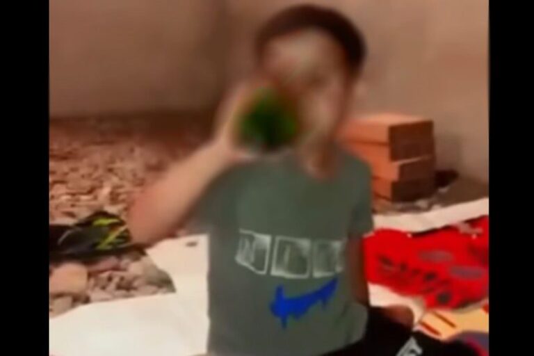 صورة المقالة