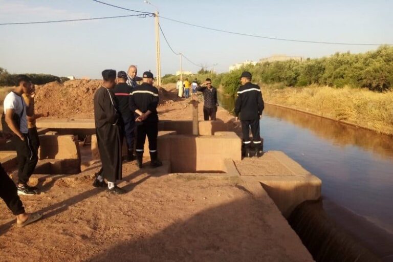 صورة المقالة