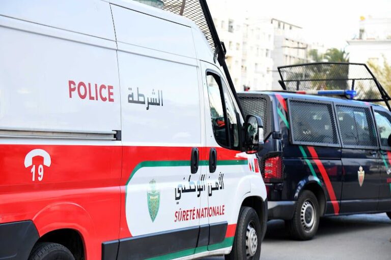 صورة المقالة