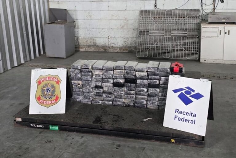 صورة المقالة