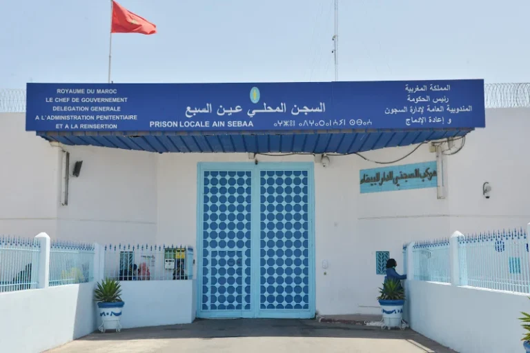 صورة المقالة