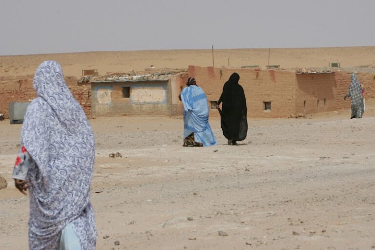 صورة المقالة