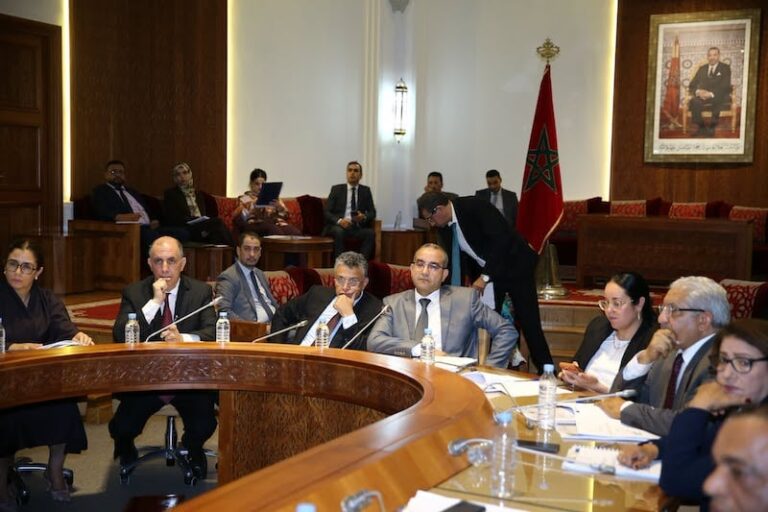 صورة المقالة