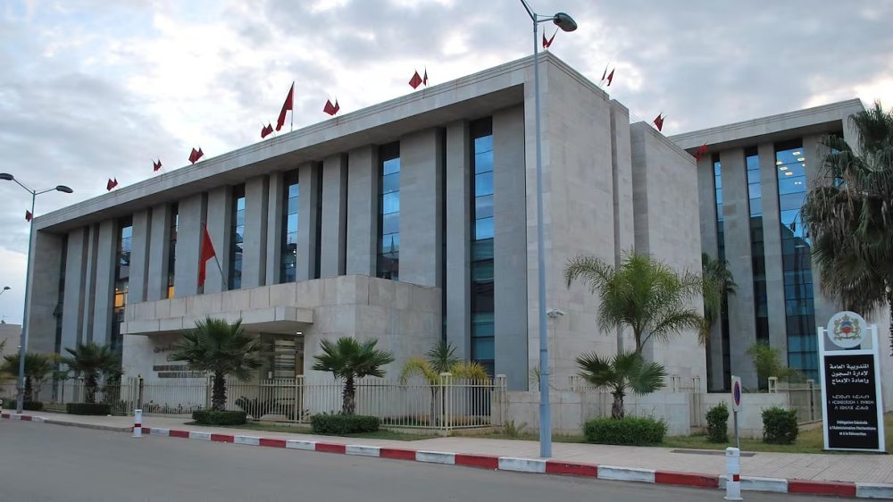 صورة المقالة