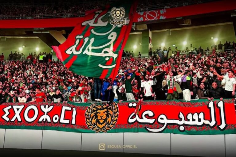 صورة المقالة