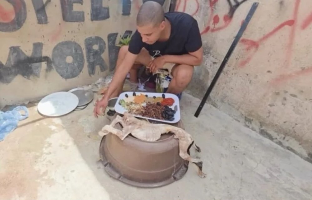 صورة المقالة