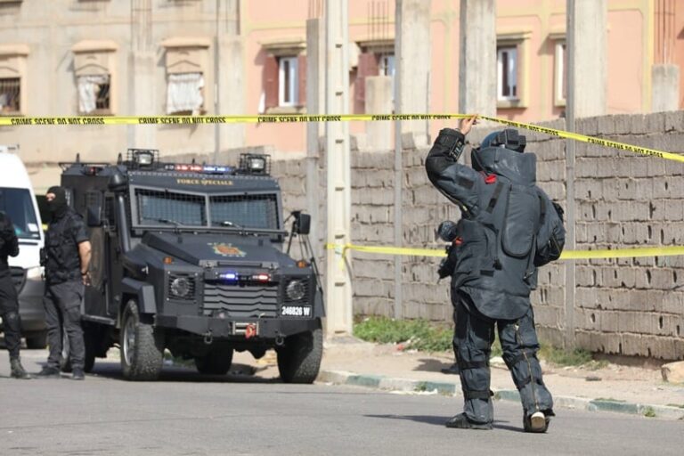 صورة المقالة