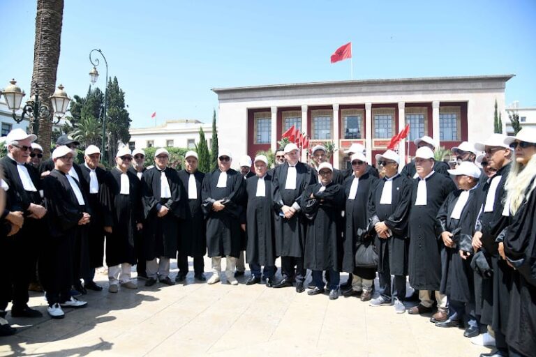 صورة المقالة