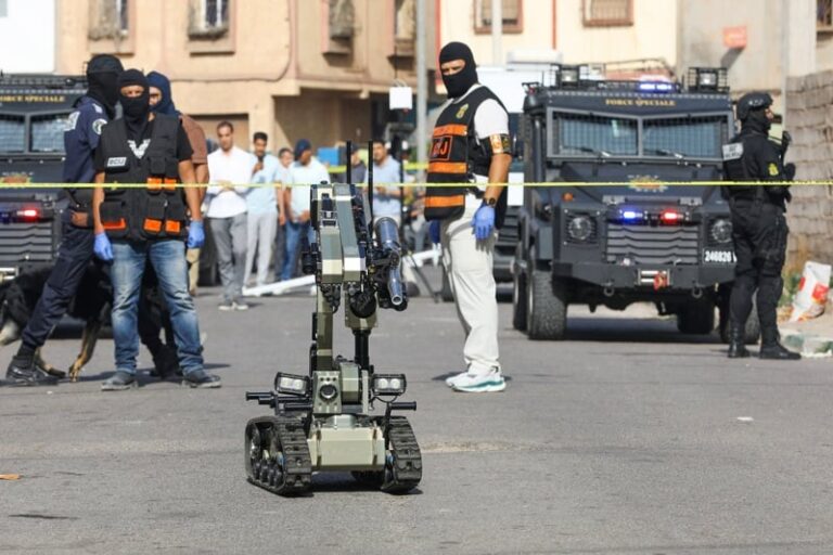 صورة المقالة