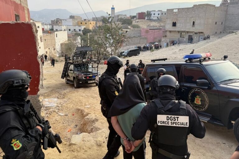 صورة المقالة