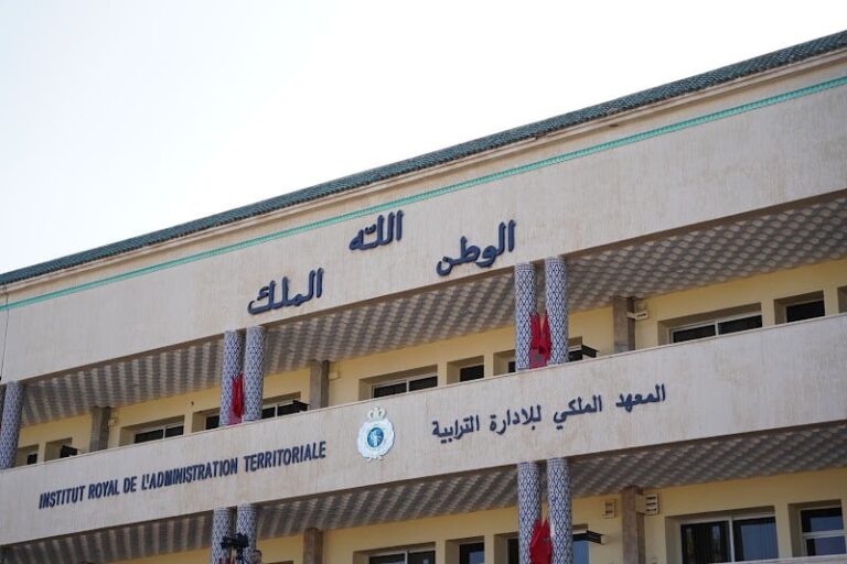 صورة المقالة