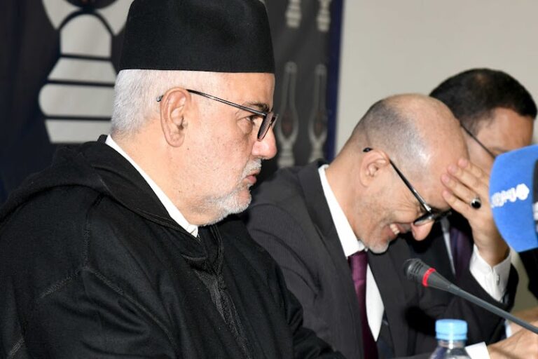 صورة المقالة