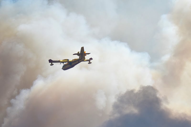 صورة المقالة