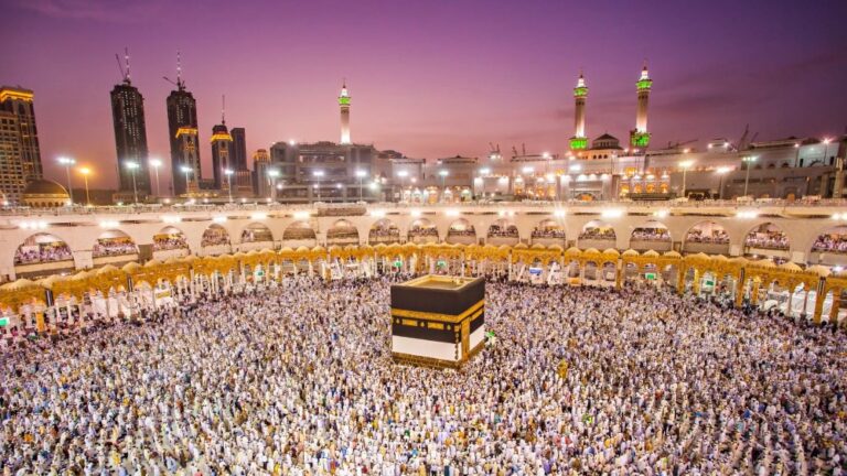 صورة المقالة