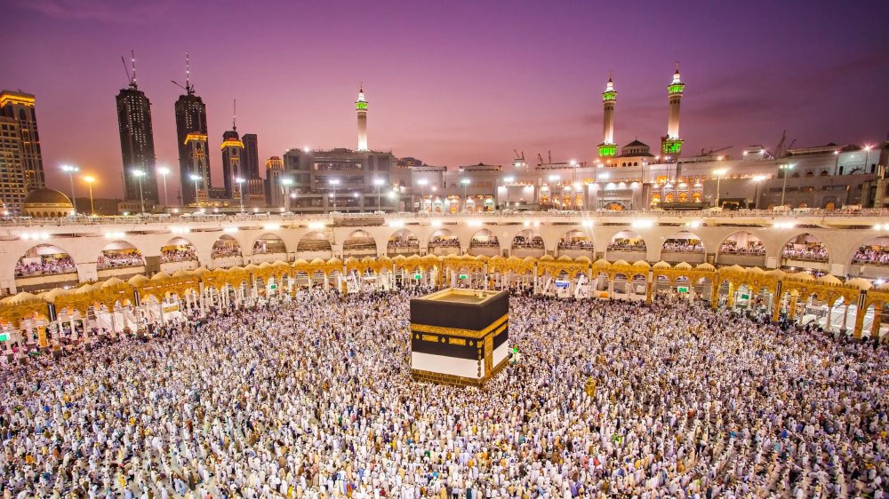 صورة المقالة
