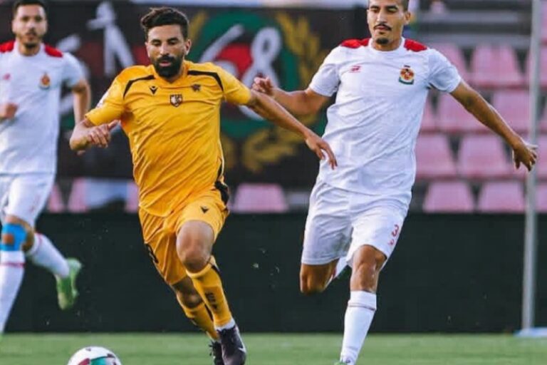 صورة المقالة