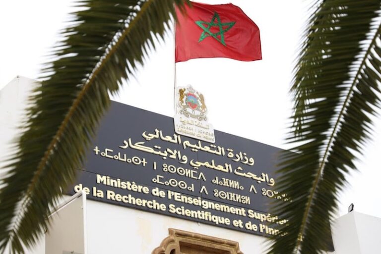 صورة المقالة