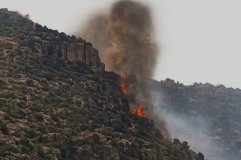 حريق غابة أنفك بأزيلال: جهود متواصلة للسيطرة على النيران وحماية الغطاء الغابوي