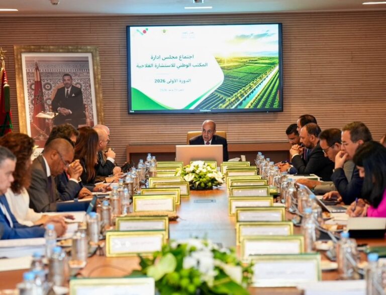 صورة المقالة