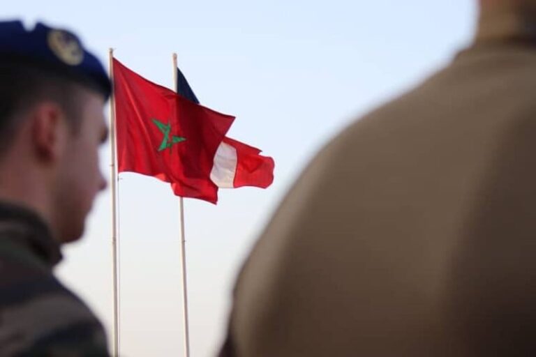 صورة المقالة