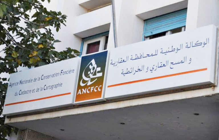 صورة المقالة