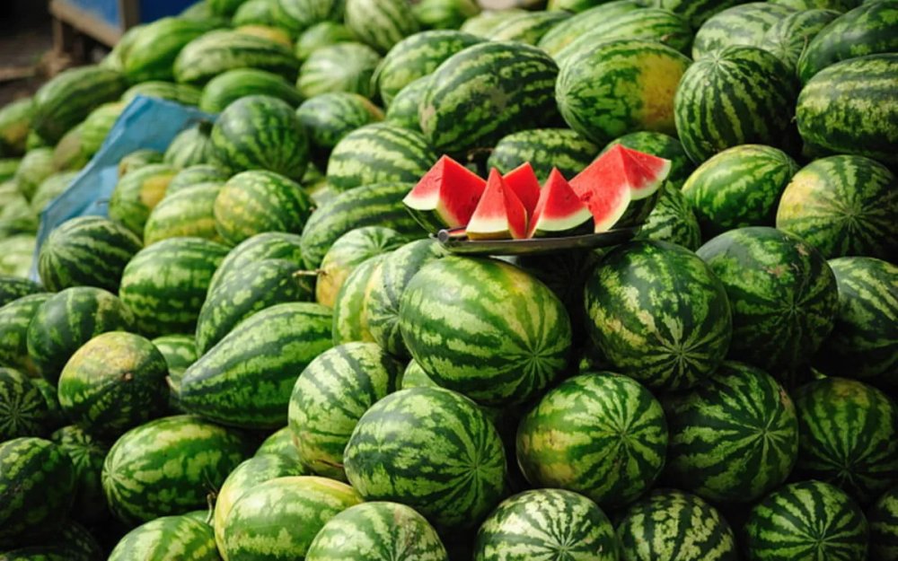شائعات البطيخ الأحمر المغربي: كيف تؤثر الأخبار الكاذبة على السوق والمستهلك؟