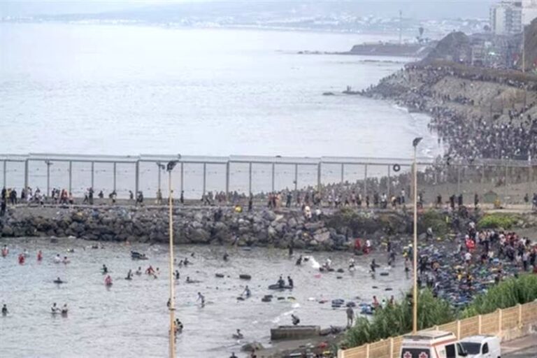 صورة المقالة
