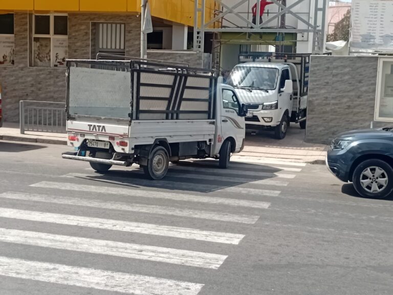 صورة المقالة