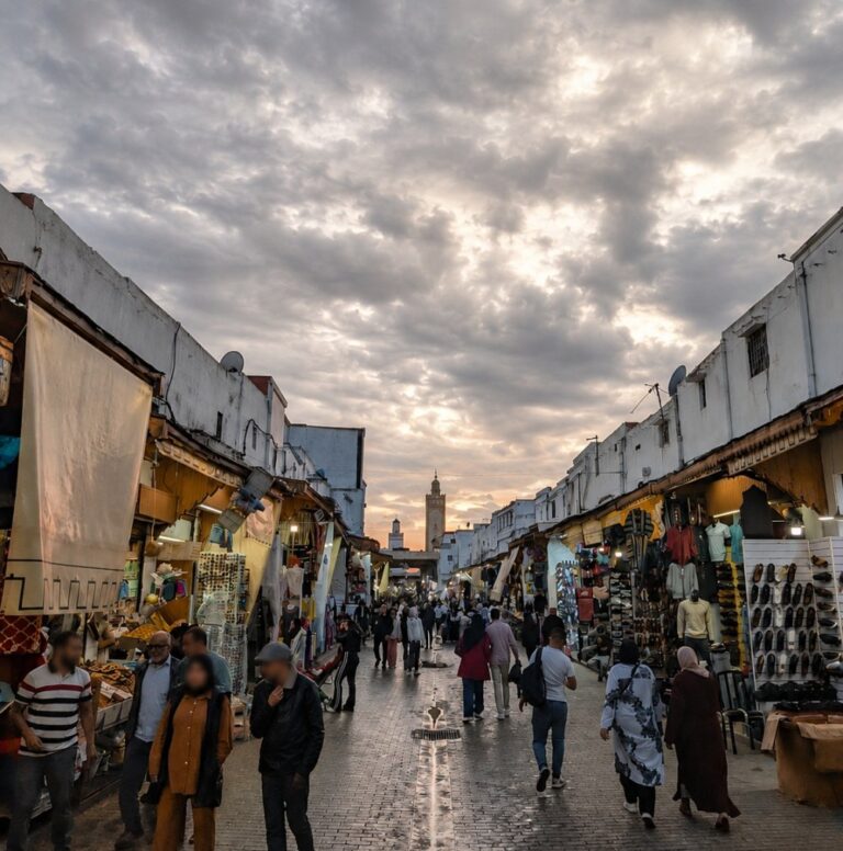 صورة المقالة