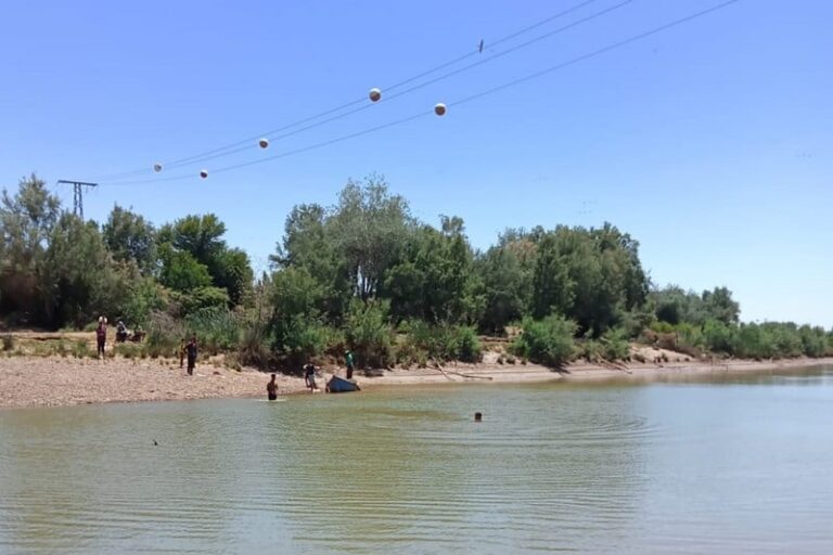 صورة المقالة
