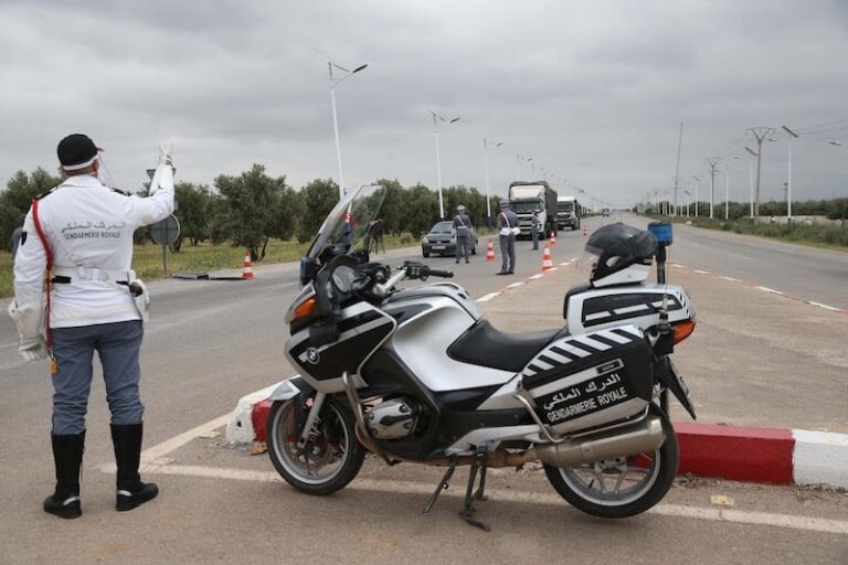 صورة المقالة