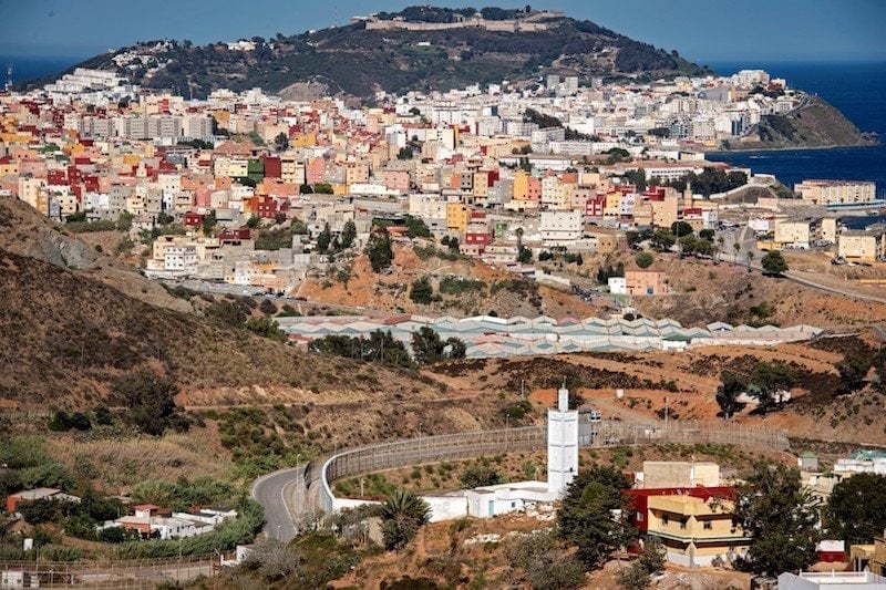 صورة المقالة